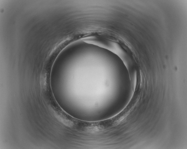 X0000080200404200612081432