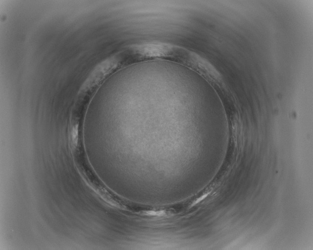 X0000080200406200612081432