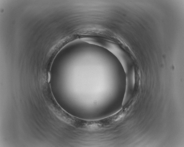 X0000080200407200612081432