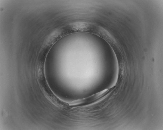 X0000080200408200612081432