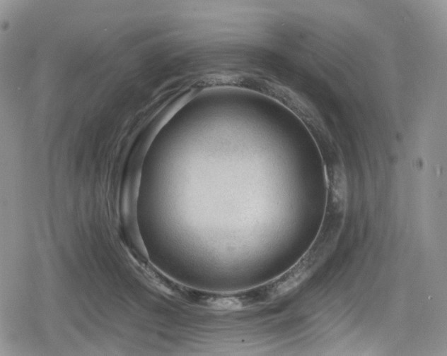 X0000080200409200612081432