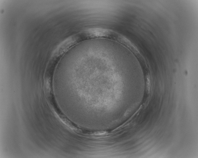 X0000080200410200612081432