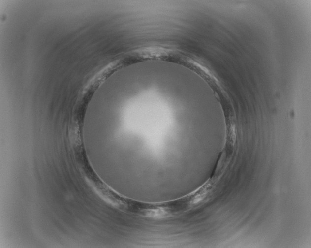 X0000080200411200612081432