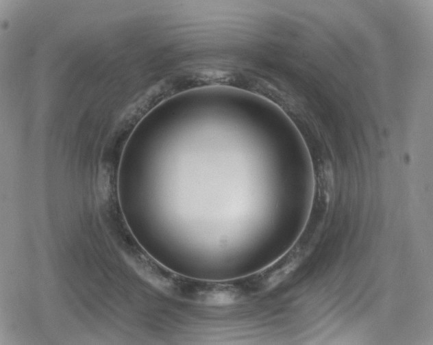 X0000080200412200612081432