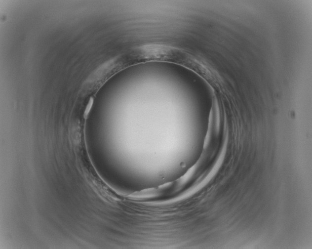 X0000080200413200612081432