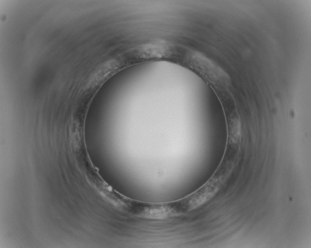 X0000080200414200612081432