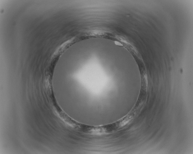 X0000080200415200612081432