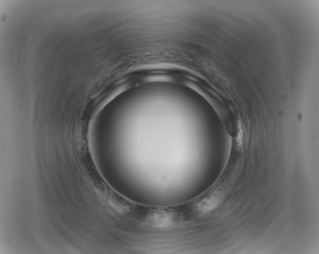 X0000080200416200612081432