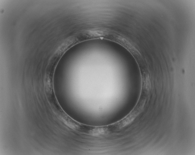 X0000080200418200612081432