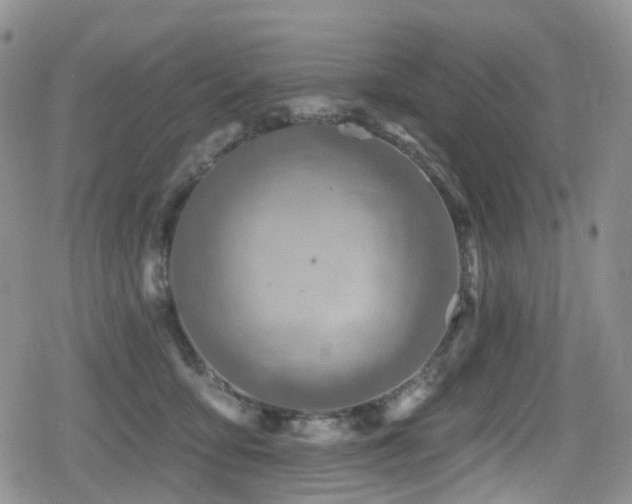 X0000080200419200612081432