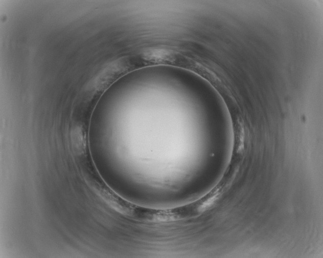 X0000080200420200612081432