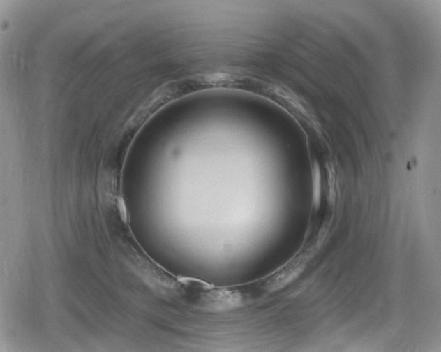 X0000080200421200612081432