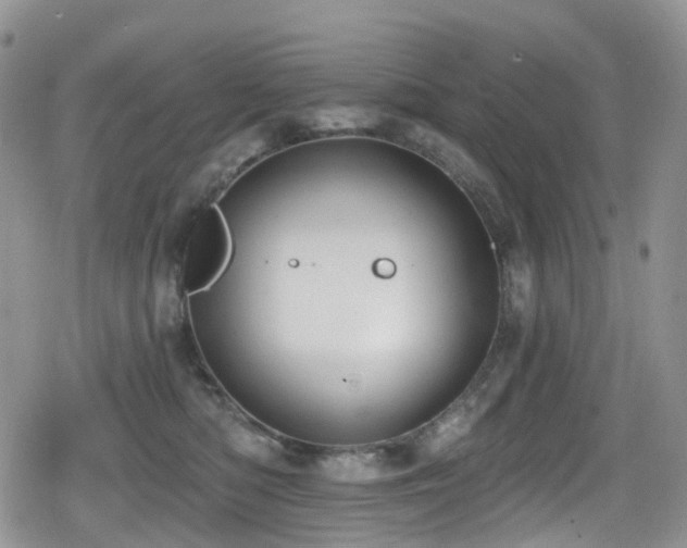 X0000080200422200612081432