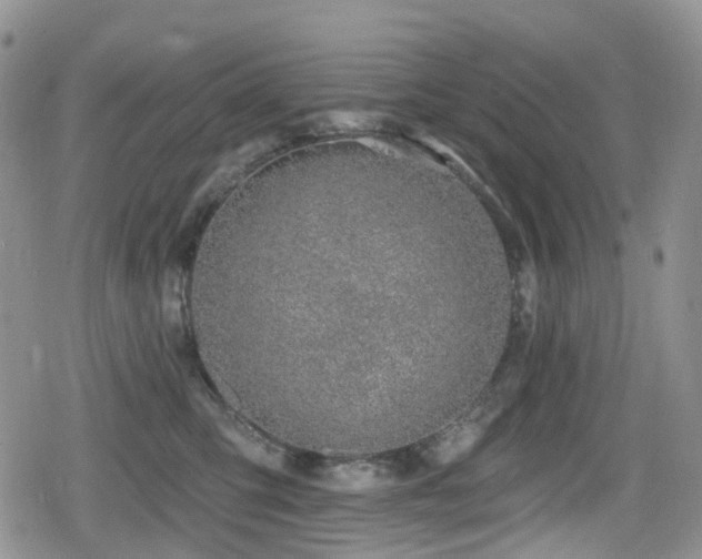 X0000080200423200612081432