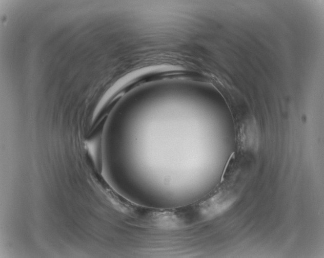 X0000080200424200612081432