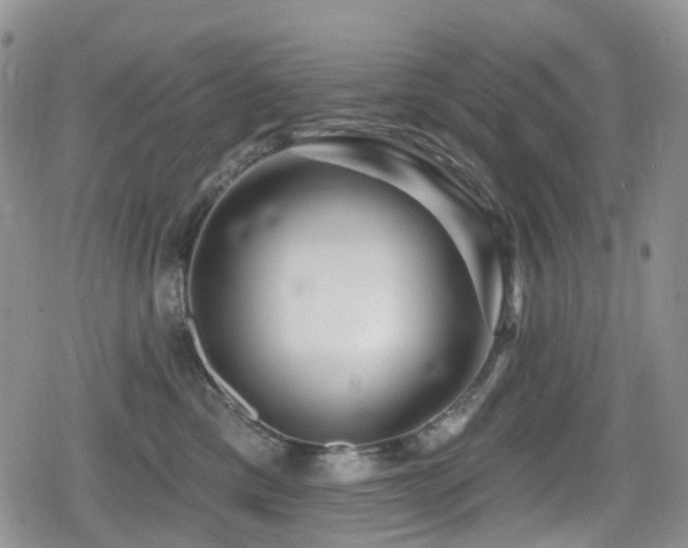 X0000080200425200612081432