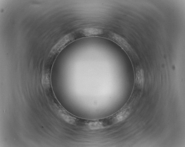 X0000080200426200612081432