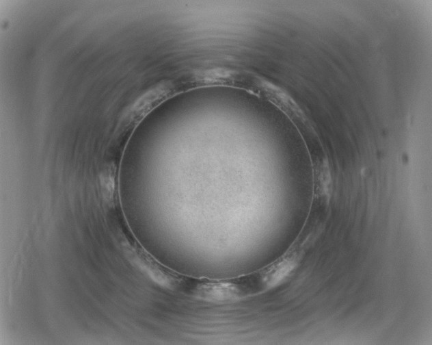 X0000080200427200612081432