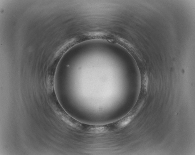 X0000080200428200612081432