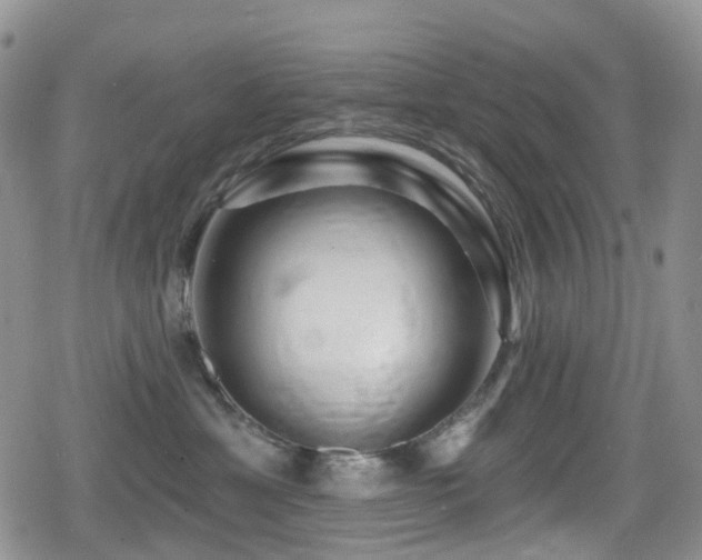 X0000080200429200612081432