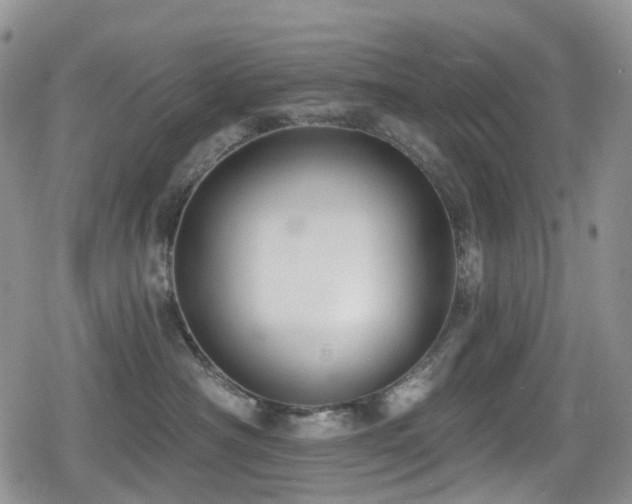 X0000080200430200612081432