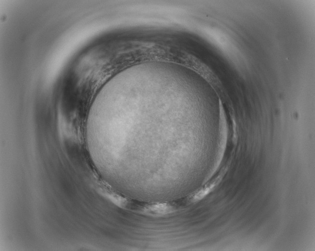 X0000080200431200612081432