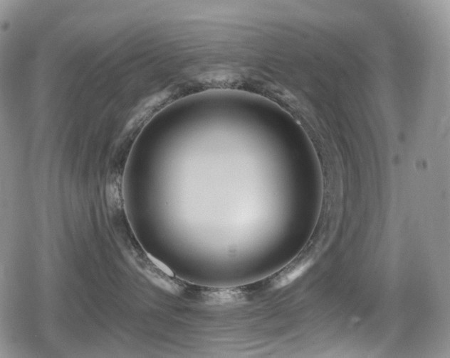 X0000080200432200612081432