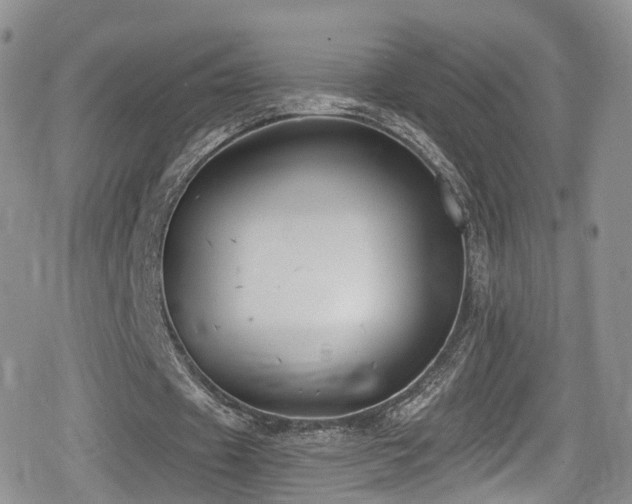 X0000080200433200612081431