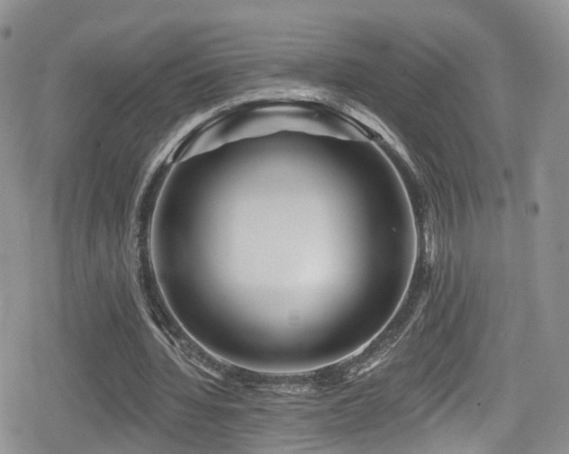 X0000080200436200612081431