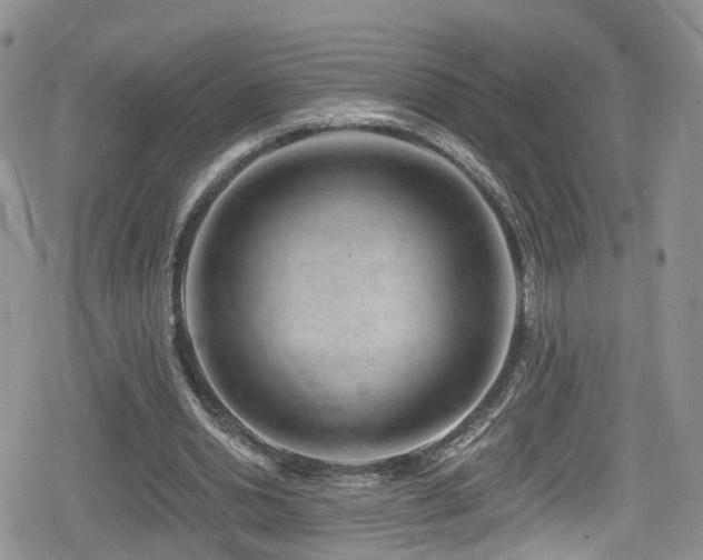 X0000080200438200612081431