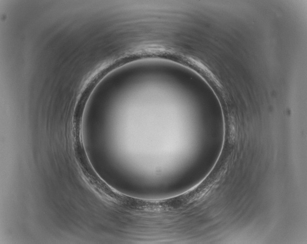 X0000080200439200612081431