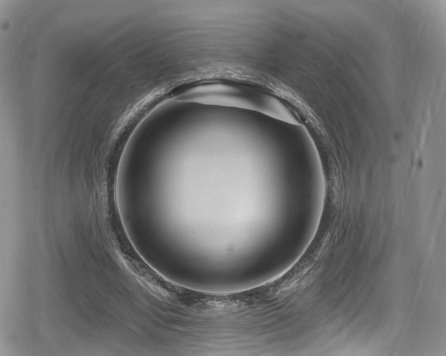 X0000080200442200612081431