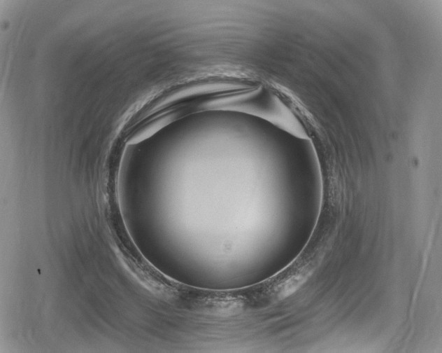 X0000080200443200612081431