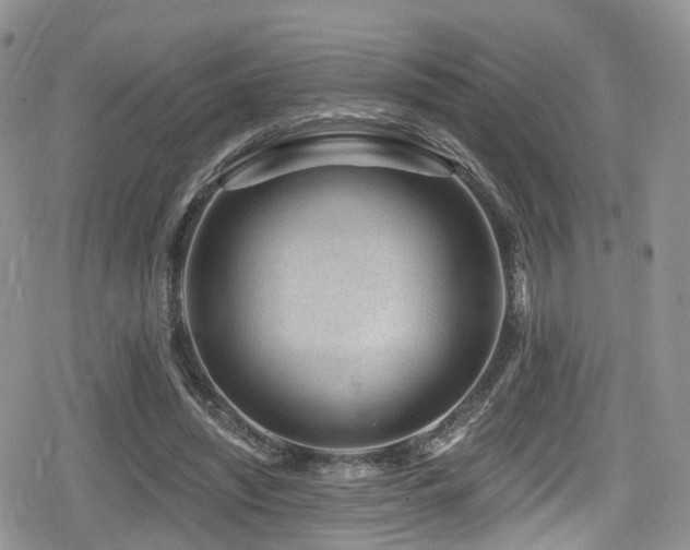 X0000080200444200612081431