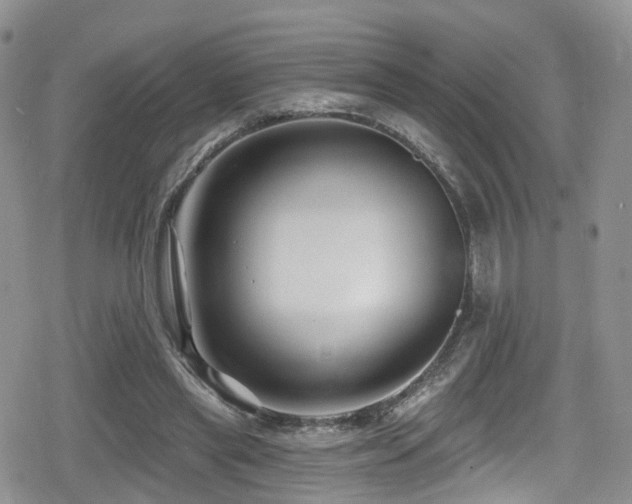 X0000080200445200612081431