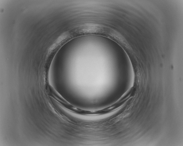 X0000080200446200612081431