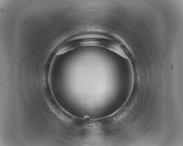 X0000080200447200612081431