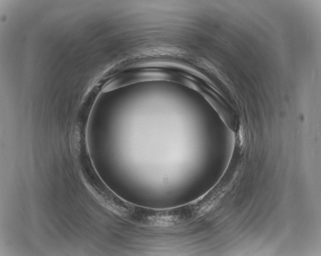 X0000080200448200612081431