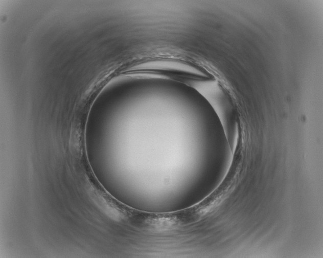 X0000080200449200612081431