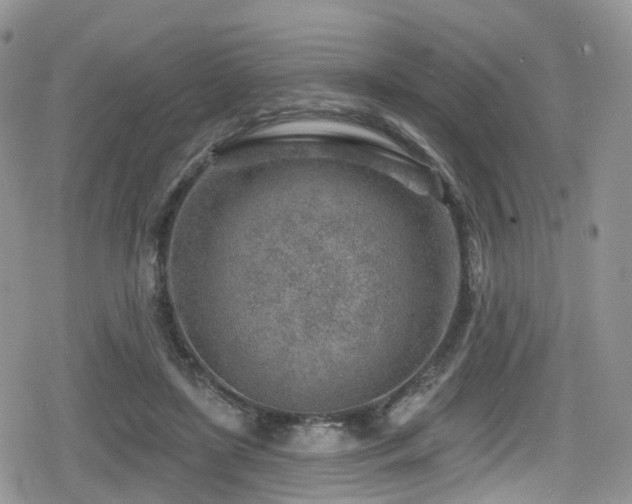 X0000080200451200612081431