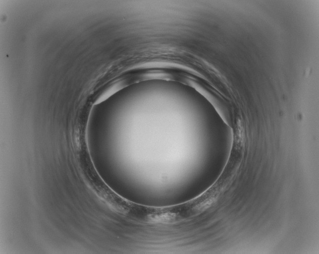 X0000080200452200612081431