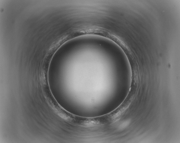 X0000080200453200612081431