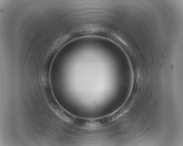 X0000080200455200612081431