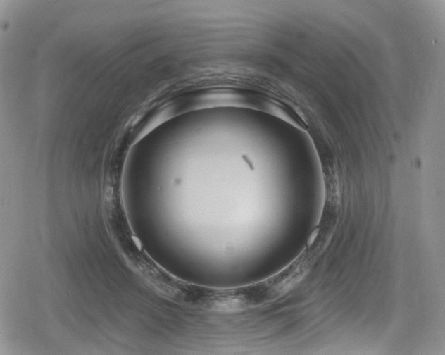 X0000080200456200612081431