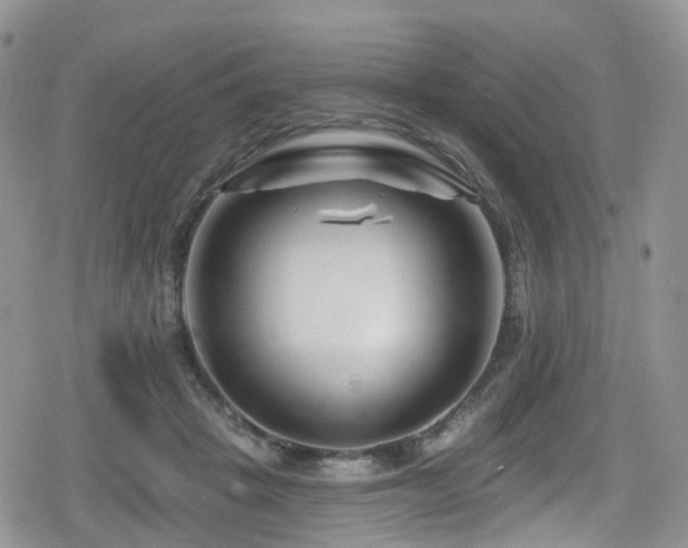 X0000080200457200612081431