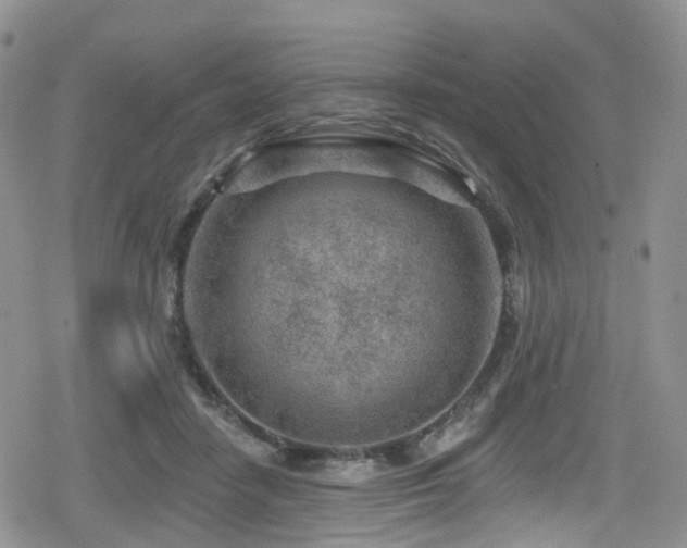 X0000080200458200612081431