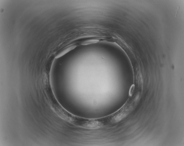 X0000080200459200612081431