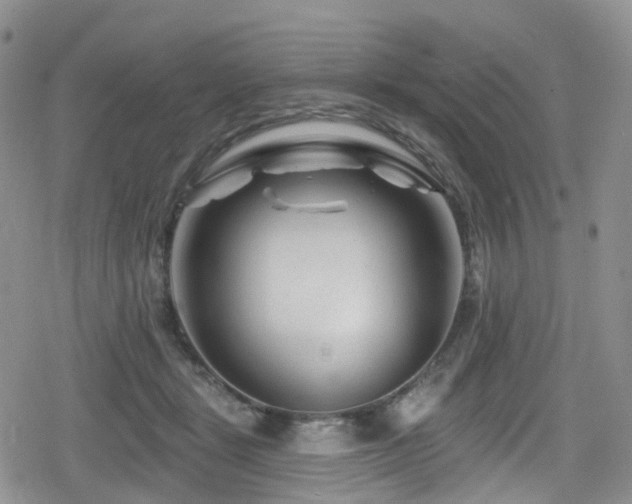 X0000080200461200612081432