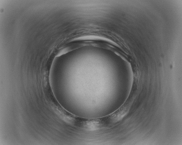 X0000080200462200612081432