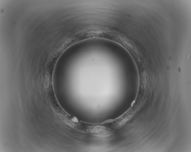 X0000080200463200612081432